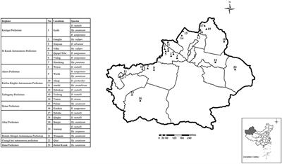 Molecular Evidence of Bartonella melophagi in Ticks in Border Areas of Xinjiang, China